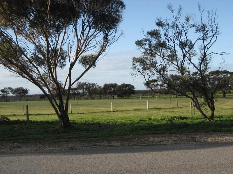11 Parnell Terrace, Price SA 5570