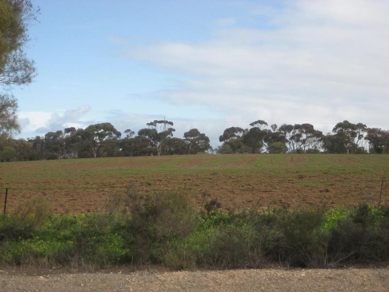 20 Wells Terrace, Price SA 5570