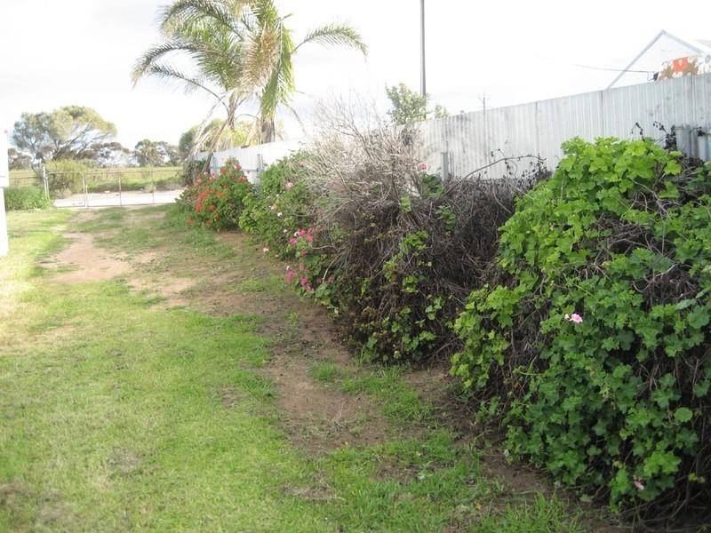 20 Wells Terrace, Price SA 5570