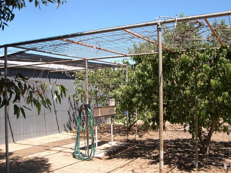 26 Cumberland Road, Port Clinton SA 5570