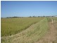 Lot 91 Government Road, Kadina SA 5554