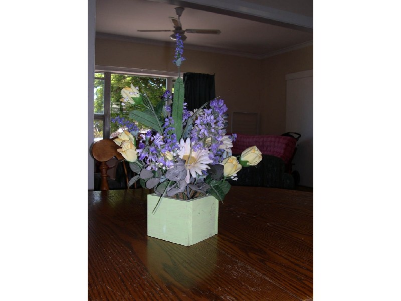 9 Bagnall Avenue, Maitland SA 5573