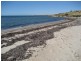 37 Chapman Road, Rogues Point SA 5571
