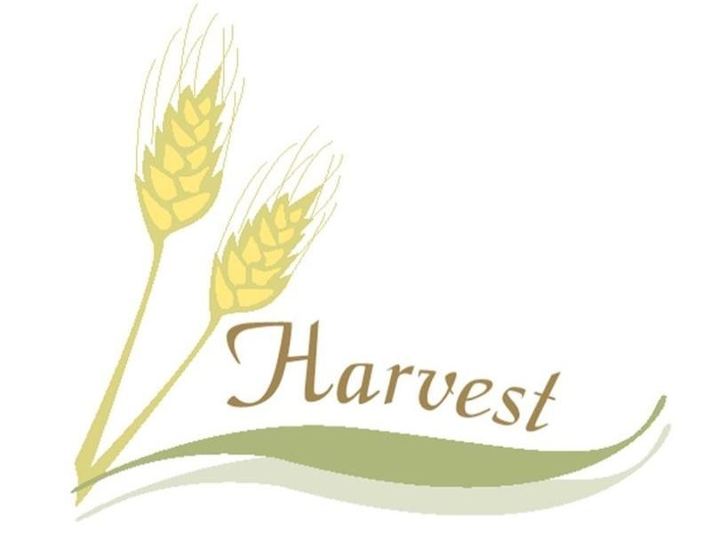 Lot 20 Harvest Development, Kadina SA 5554