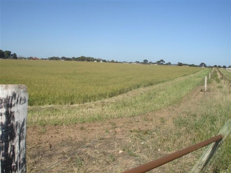 Lot 91 Government Road, Wallaroo Mines SA 5554