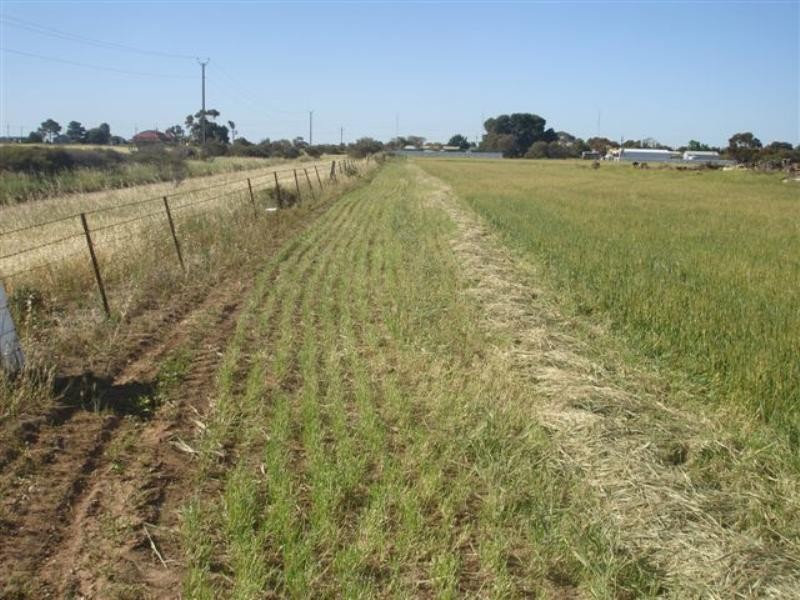 Lot 91 Government Road, Wallaroo Mines SA 5554