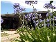 34 Osmond Street, Maitland SA 5573