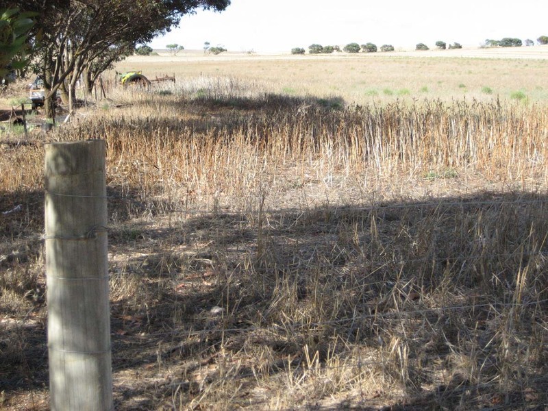 Sec 321 Arthurton Road, Ardrossan SA 5571