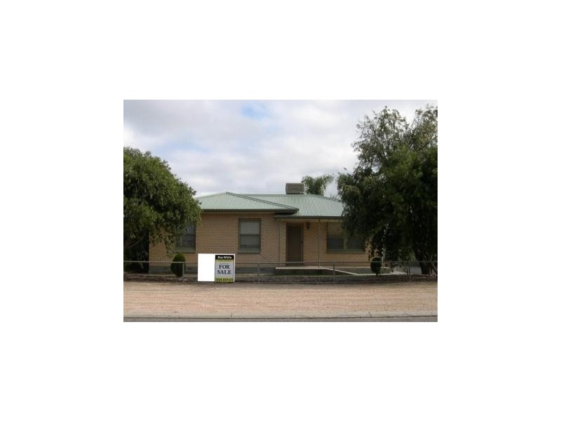 62 Tiddy Avenue, Maitland SA 5573