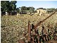 Lot 10 Price Road, Arthurton SA 5572