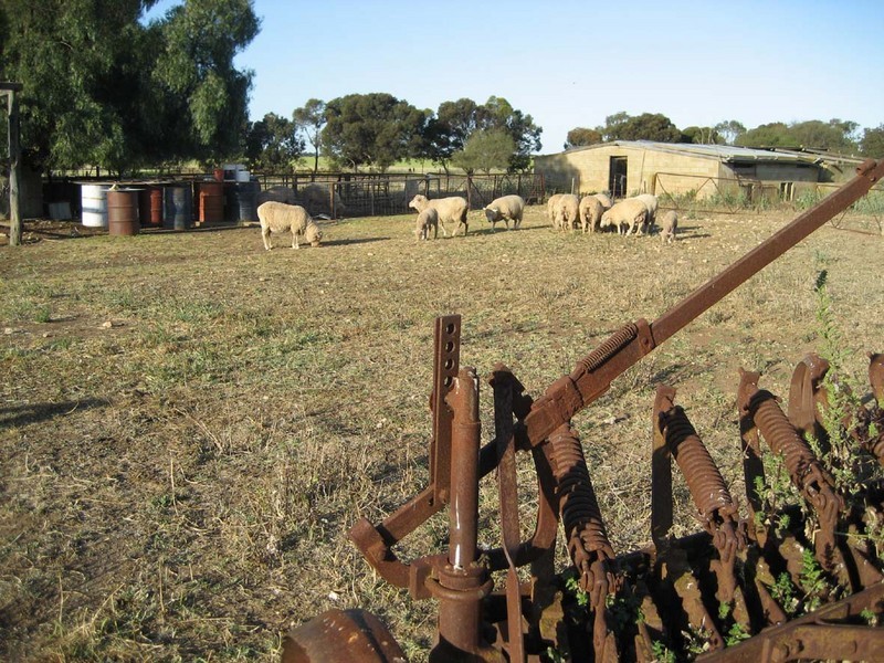 Lot 10 Price Road, Arthurton SA 5572