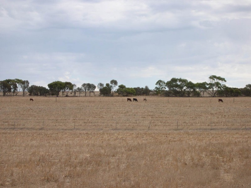 Unit 1, 4 Tilbrook Avenue, Minlaton SA 5575