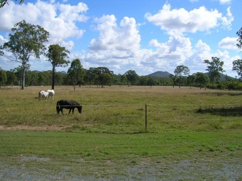 116 Newby Road, Bondoola QLD 4703