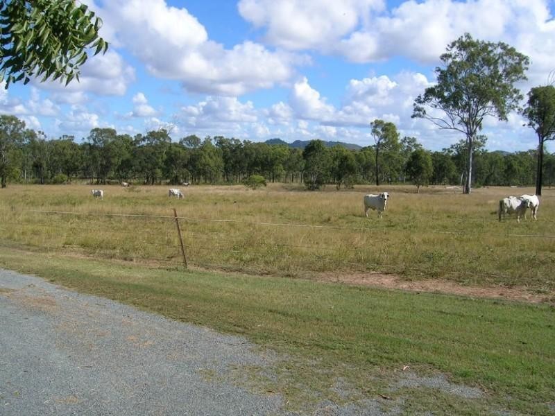 116 Newby Road, Bondoola QLD 4703