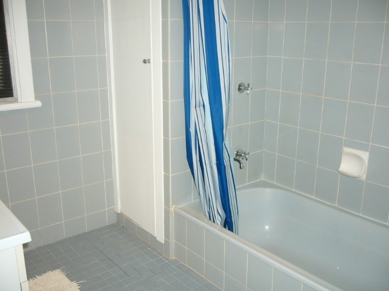 24 Millroy Street, Wandal QLD 4700