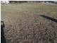 82 Buxton Drive, Gracemere QLD 4702