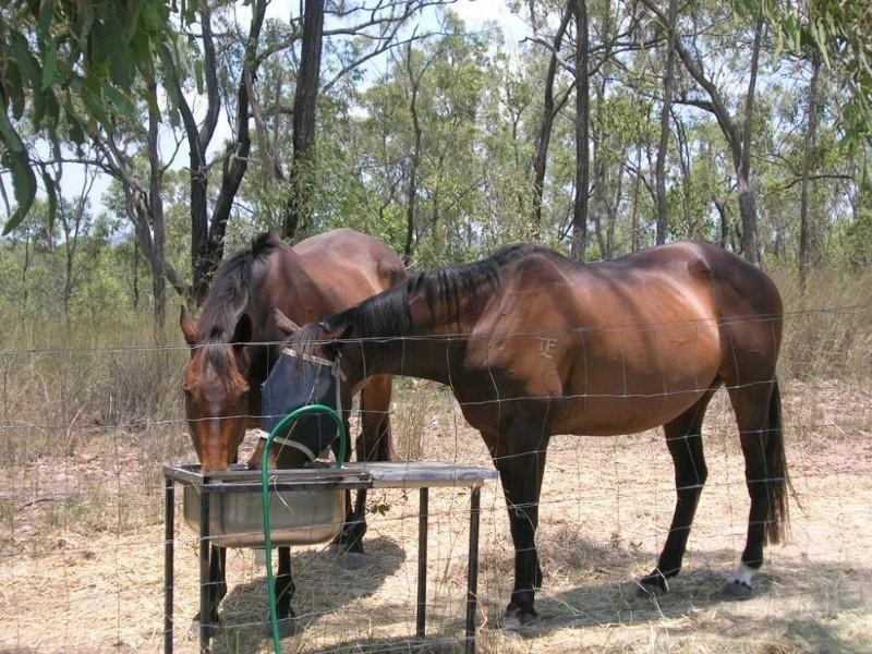 80 Keryn Drive, The Caves QLD 4702