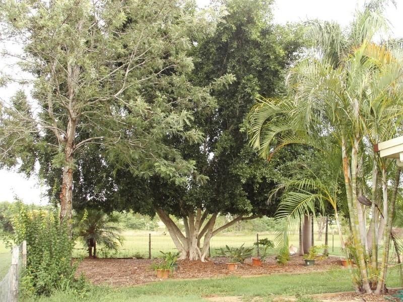 26 Glendale Road, Glendale QLD 4711