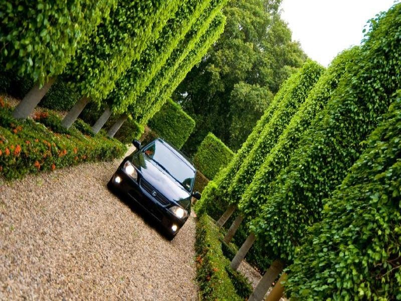 485A Eichelberger Street, Frenchville QLD 4701