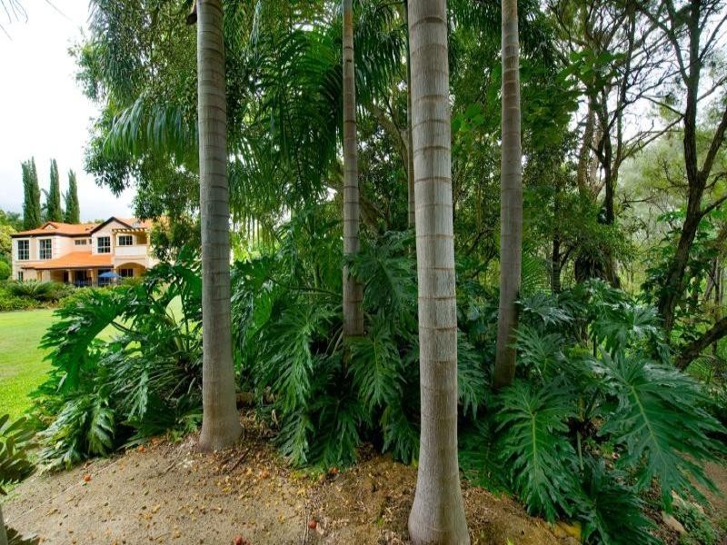 485A Eichelberger Street, Frenchville QLD 4701