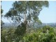 6 Fryer Avenue, Frenchville QLD 4701