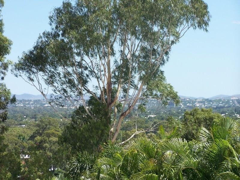 6 Fryer Avenue, Frenchville QLD 4701