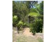 6 Fryer Avenue, Frenchville QLD 4701
