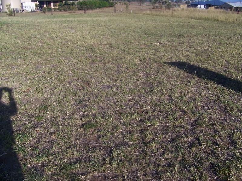 82 Buxton Drive, Gracemere QLD 4702