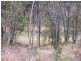 Lot 51 Rattenbury Road, Limestone Creek QLD 4701