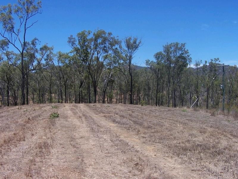 Lot 51 Rattenbury Road, Limestone Creek QLD 4701