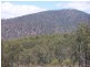 Lot 51 Rattenbury Road, Limestone Creek QLD 4701