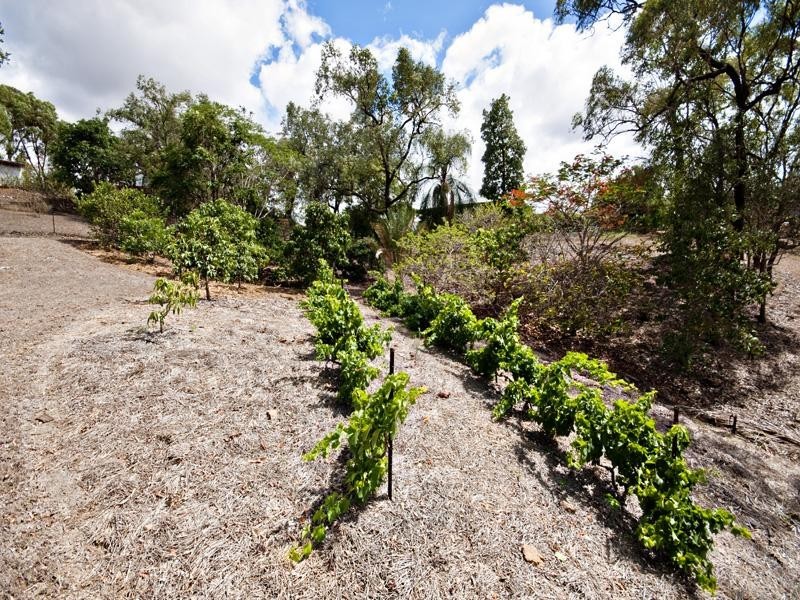 166 Emmerson Drive, Glenlee QLD 4711