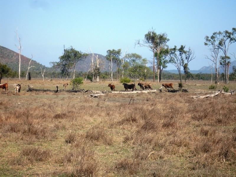 Lot 54 Jepsons Road, Barmoya QLD 4703