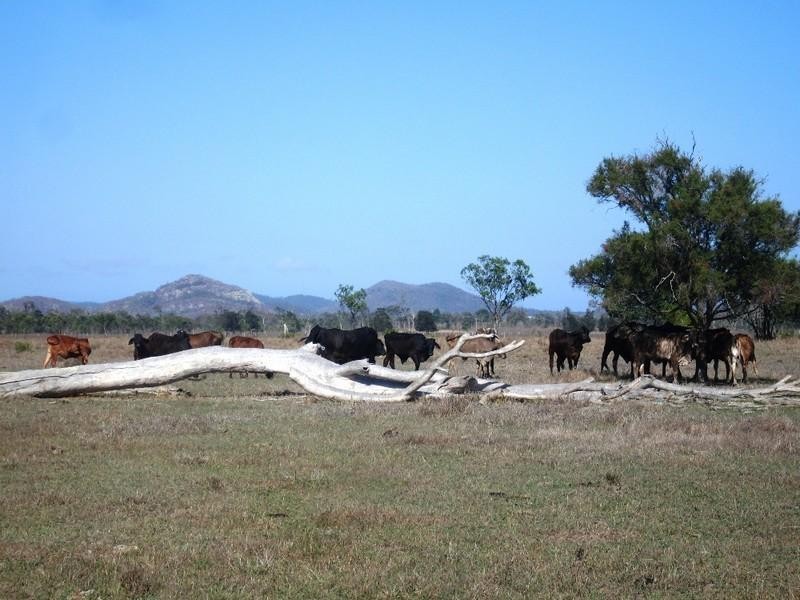 Lot 54 Jepsons Road, Barmoya QLD 4703