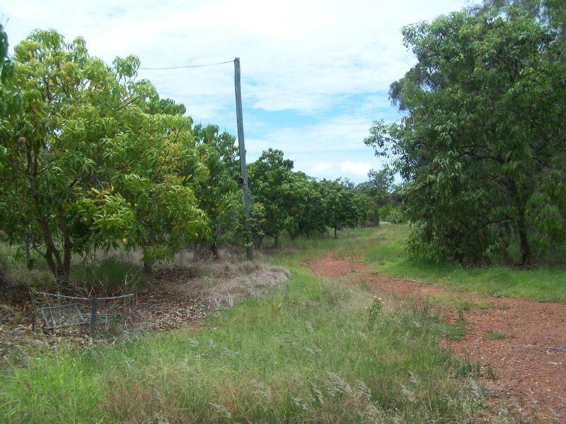 119 Higginsons Road, Tungamull QLD 4702