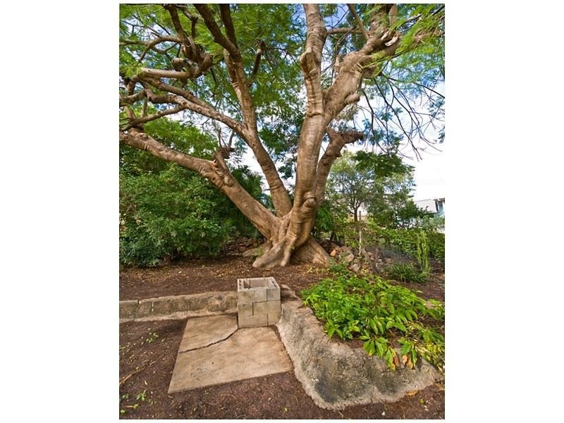 138 Kerrigan Street, Frenchville QLD 4701