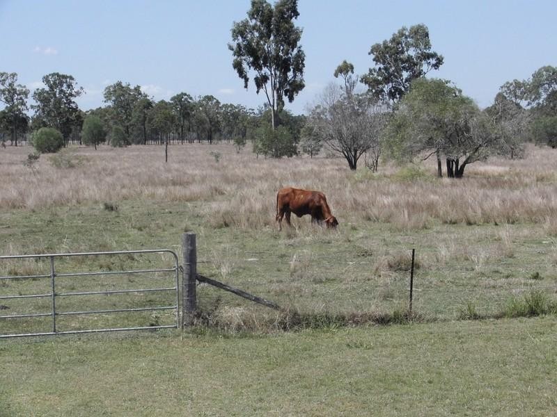 65946 Bruce Highway, Canoona QLD 4702