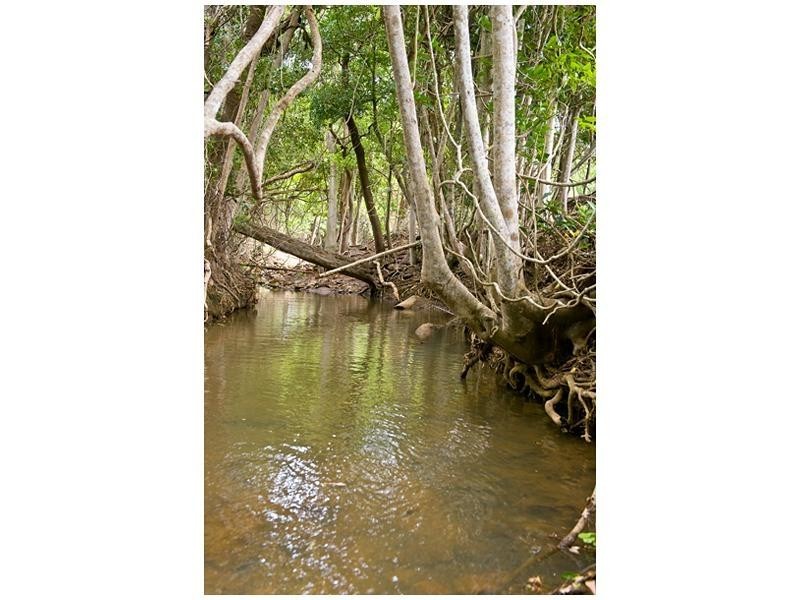 455 Rossmoya Road, Wattlebank QLD 4704