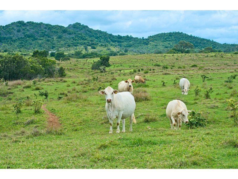 455 Rossmoya Road, Wattlebank QLD 4704