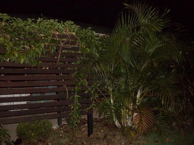 1 & 2/15 Poole Street, Kawana QLD 4701