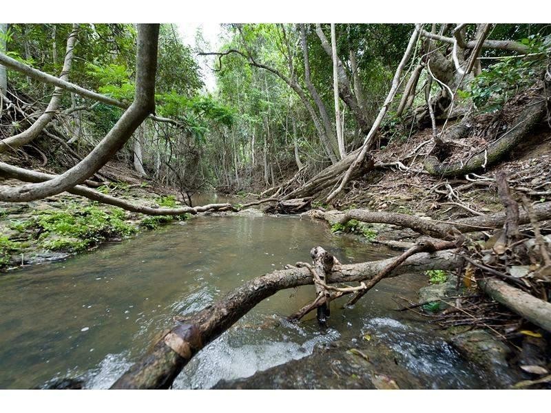 455 Rossmoya Road, Wattlebank QLD 4704