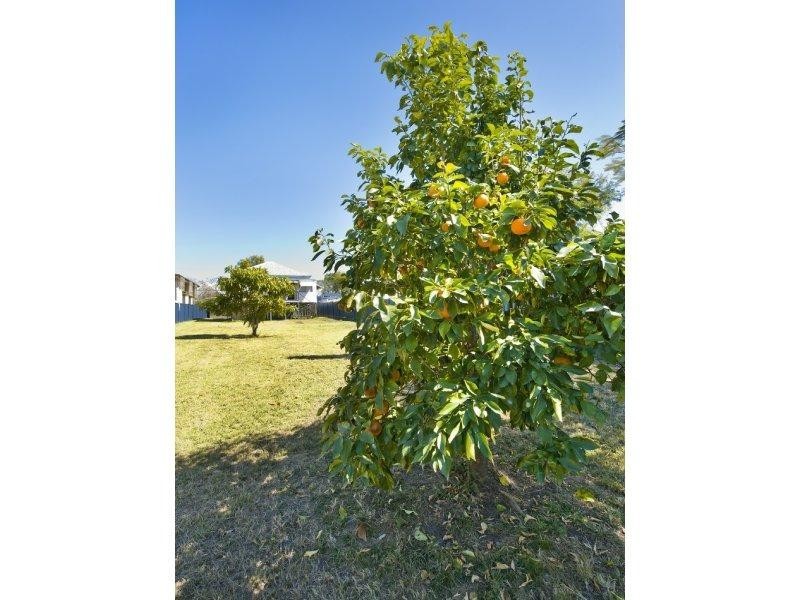 237 Kent Street, Depot Hill QLD 4700