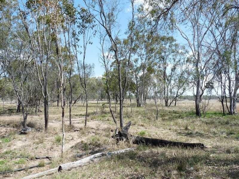 179 Allen Road, Gracemere QLD 4702