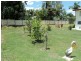 187 Mostyn Street, Berserker QLD 4701