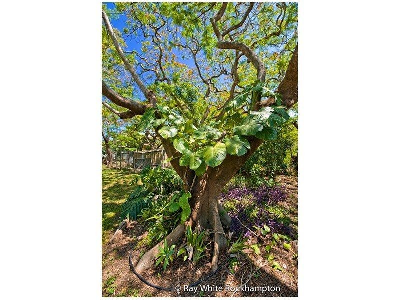 153 Bedford Street, Berserker QLD 4701