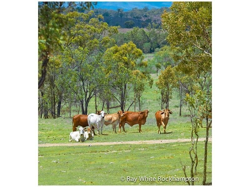 71 Hendy Drive, Glenlee QLD 4711