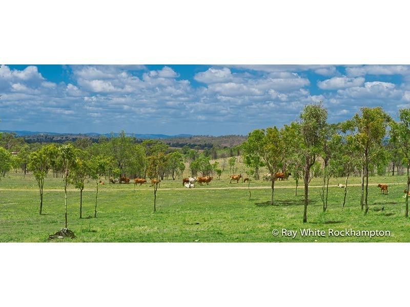 71 Hendy Drive, Glenlee QLD 4711