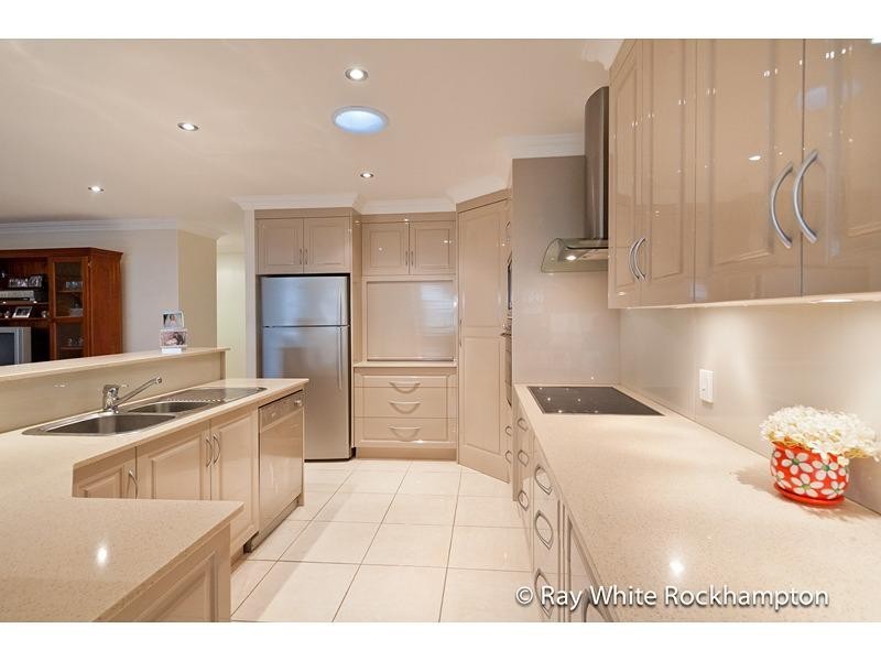 17 Treefern Terrace, Frenchville QLD 4701