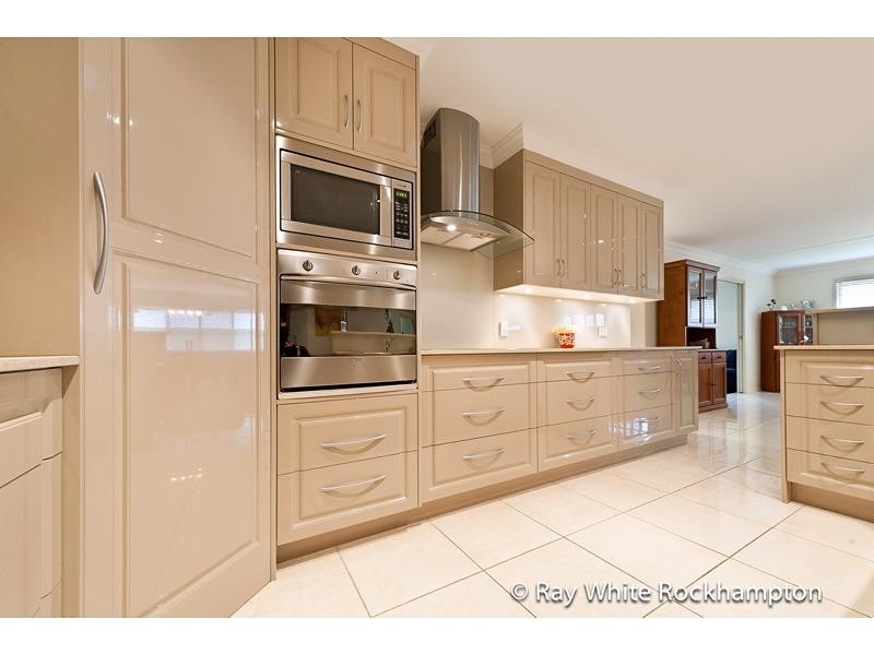 17 Treefern Terrace, Frenchville QLD 4701