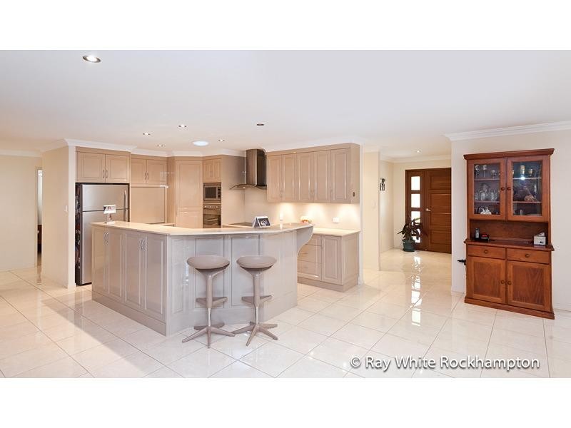 17 Treefern Terrace, Frenchville QLD 4701